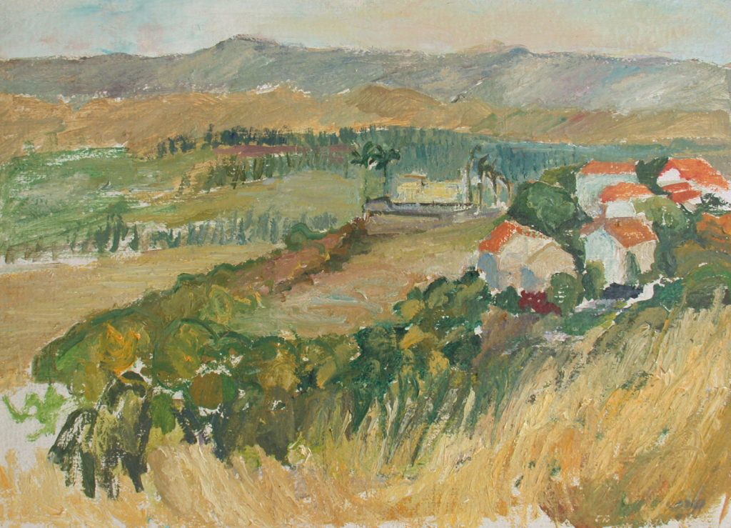 View from Karmei Yosef, 25X30, oil on cardboard, 2007